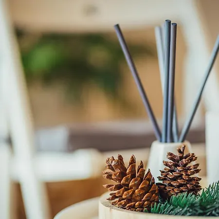 Via Mons Apartment Kranjska Gora